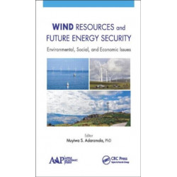 Wind Resources and Future Energy Security: Environmental, Social, and Economic Issues