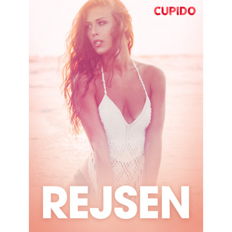 Rejsen - erotisk novelle