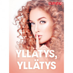 Yllätys, yllätys - eroottinen novelli