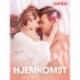 Hjemkomst - erotiske noveller