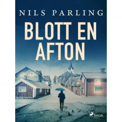 Blott en afton