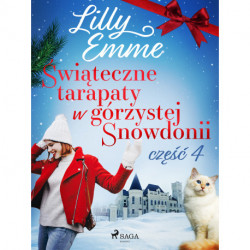 Świąteczne tarapaty w górzystej Snowdonii - część 4