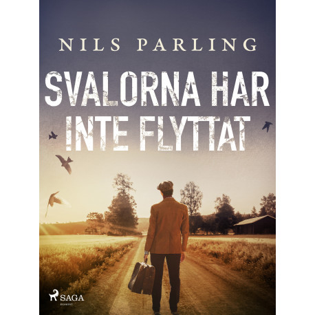 Svalorna har inte flyttat