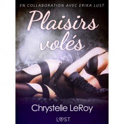 Plaisirs volés - Une nouvelle érotique