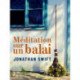 Méditation sur un balai