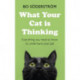 What Your Cat Is Thinking: Everything you need to know to understand your pet