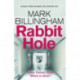 Rabbit Hole: The new masterpiece from the Sunday Times number one bestseller