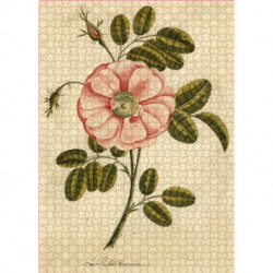 John Derian Paper Goods: Garden Rose 1,000-Piece Puzzle