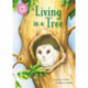 Reading Champion: Living in a Tree: Independent Reading Non-Fiction Pink 1a