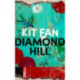 Diamond Hill: Totally unputdownable and evocative literary fiction