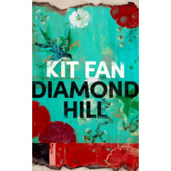 Diamond Hill: Totally unputdownable and evocative literary fiction
