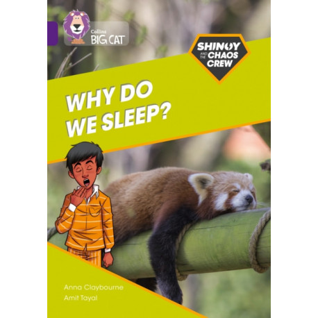 Shinoy and the Chaos Crew: Why do we sleep?: Band 08/Purple