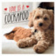 Love is a Cockapoo: A Dog-Tastic Celebration of the World's Cutest Breed