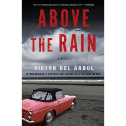 Above the Rain: A Novel