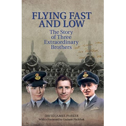 Flying Fast and Low: The Story of Three Extraordinary Brothers
