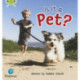 Bug Club Phonics - Phase 2 Unit 4: Is It a Pet?