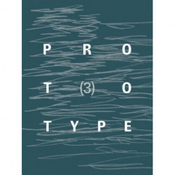 PROTOTYPE 3