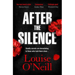 After the Silence: The An Post Irish Crime Novel of the Year