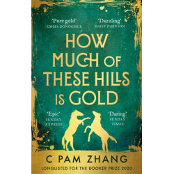 How Much of These Hills is Gold: ‘A tale of two sisters during the gold rush … beautifully written’ The i, Best Books of the Year