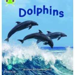 Bug Club Phonics - Phase 5 Unit 13: Dolphins