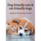 Dog-friendly cats & cat-friendly dogs: A guide to the friendliest breeds