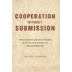 Cooperation Without Submission: Indigenous Jurisdictions in Native Nation-Us Engagements