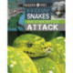Predator vs Prey: How Snakes and other Reptiles Attack