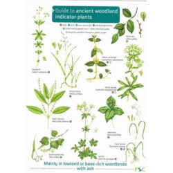Guide to Ancient Woodland Indicator Plants