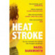 Heatstroke: the dark, compulsive debut you won't be able to forget