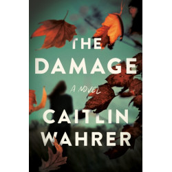 The Damage: A Novel