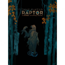 Raptor: A Sokol Graphic Novel