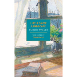 Little Snow Landscape