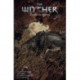 The Witcher Volume 5: Fading Memories