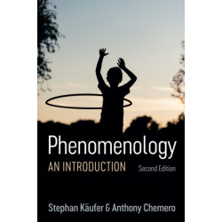 Phenomenology: An Introduction