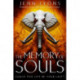 The Memory of Souls