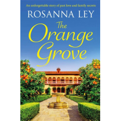 The Orange Grove: a delicious, escapist romance set in sunny Seville