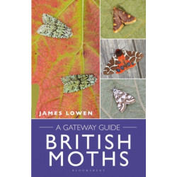 British Moths: A Gateway Guide
