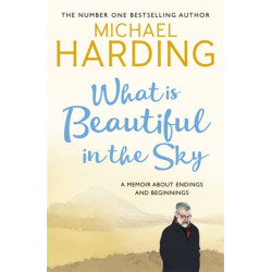 What is Beautiful in the Sky: A book about endings and beginnings