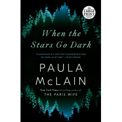 When the Stars Go Dark: A Novel