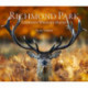 Richmond Park: London's Wildlife Haven