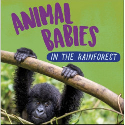 Animal Babies: In the Rainforest