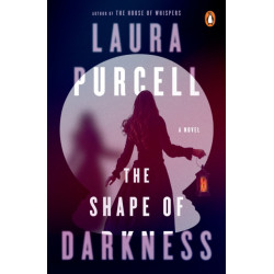 The Shape of Darkness: A Novel