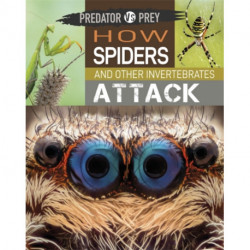 Predator vs Prey: How Spiders and other Invertebrates Attack