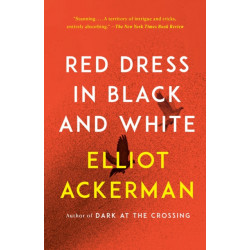 Red Dress in Black and White: A novel