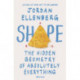 Shape: The Hidden Geometry of Absolutely Everything