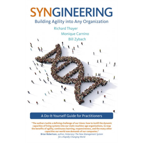Syngineering: Building Agility into Any Organization: A Do-It-Yourself Guide for Practitioners