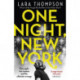 One Night, New York: 'A page turner with style' (Erin Kelly)