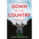Down in the Country: A Carlow Valley Mystery: A Carlow Valley Mystery