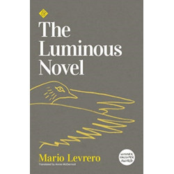 The Luminous Novel