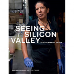 Seeing Silicon Valley: Life Inside a Fraying America